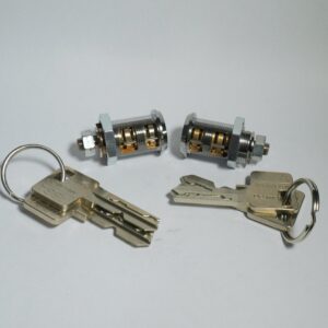 ASSA Desmo 8p Cutaway